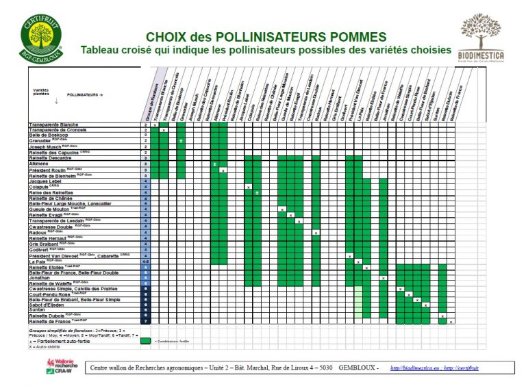 Choix pollinisateurs pommes 2017 Certifruit une charte de qualité