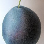 bleue-de-belgique