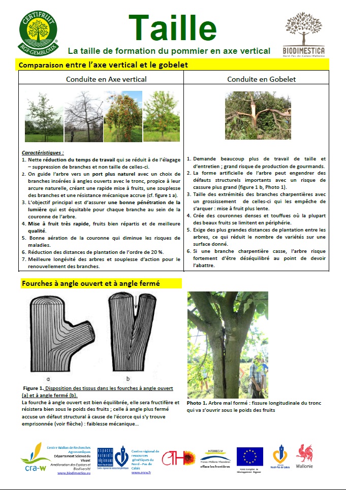 Taille_1