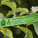 etiquette-verte-certifruit-rgf-1