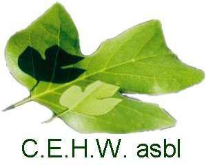 Logo CEHW